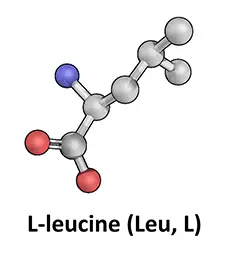 L-Leucine
