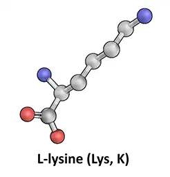 L-Lysine