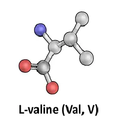 L-Valine